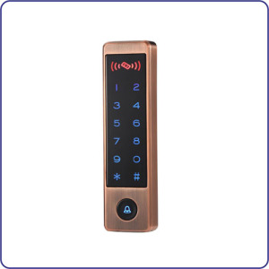 Single Door Keypad