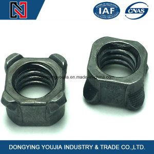 Professional Manufacturer Produce Square Weld Nut OEM Square Nut